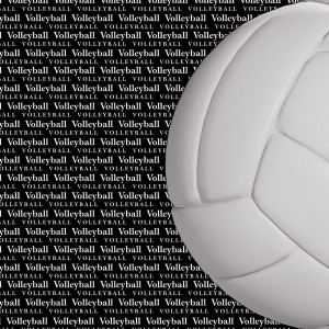 ... Customs - Sports Collection - 12 x 12 Paper - Volleyball Go Big Left