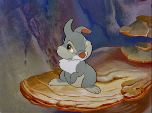 Plus, I don't want to get on Thumper's bad side.