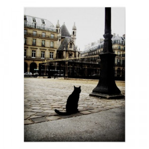Black Cat at the Louvre by gregisaacs