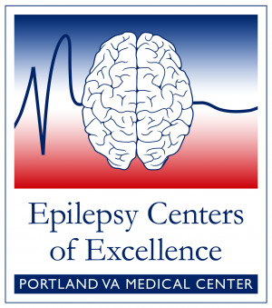Epilepsy Center of Excellence