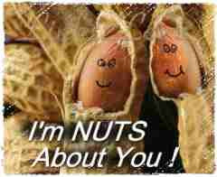 Nuts About You!