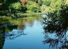 In the place of stillness, rises potential. From the place of ...