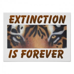 extinction is forever the chilling words extinction is forever ...