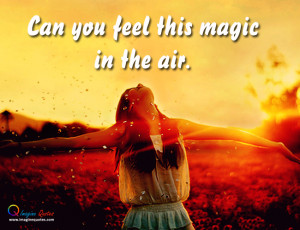 Feel the Magic in the Air