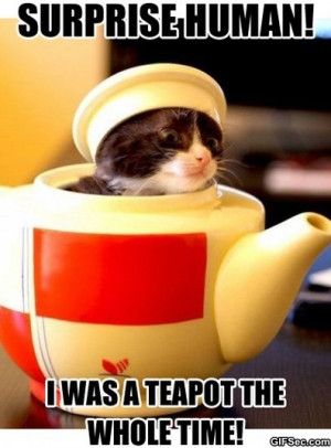 Funny Pictures – Surprise