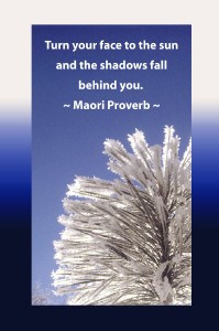 Confusion Quotes 2 1095x1650 Picture