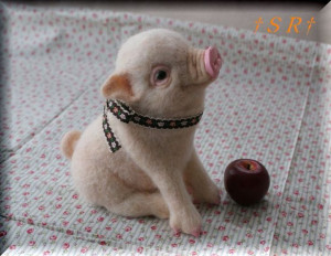 Teacup pig! – I have always wanted one…this or a potbellied.
