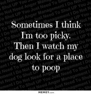 funny picky dog poop