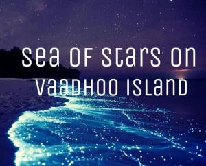 Sea of Stars, Vaadhoo Island, Maldives - Google Search