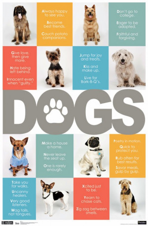 ... , Dogs Abc, Posters Alphabet, Dogs Posters, Dogs Life, Animal Dogs