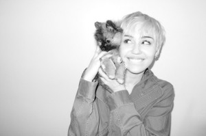 ... , black and white, cute, dog, grunge, hipster, miley cyrus, smile