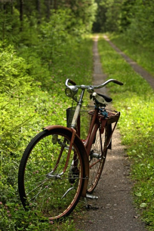 Cycling on forest trail: Forests Trail, Color Bicycles, Bike Paths ...