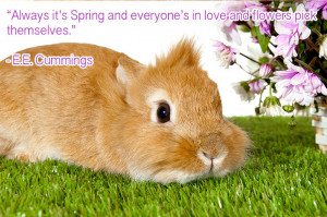 11 Quotes From Famous Authors to Pump You Up For Springtime!