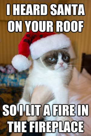 Grumpy Cat burns Santa
