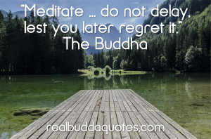 Meditate … do not delay, lest you later regret it.” – The Buddha ...
