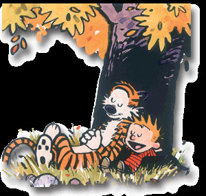 CALVIN AND HOBBES MEMORABLE QUOTES
