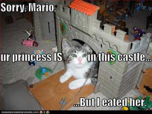 LOL Caturday!