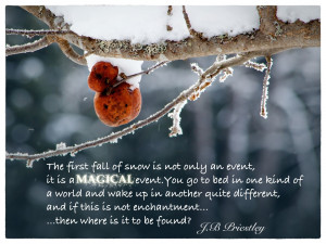 First+Snow+Fall+Quote.jpg