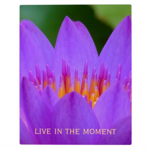 purple flower with life quote display plaque life is not about waiting ...