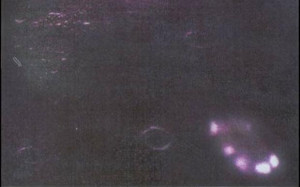 Apollo 14, 1971 - Were these lights photographed from the Apollo 11 ...