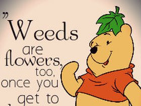 Winnie The Pooh Funny Pictures