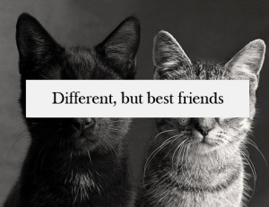 different, but best friends