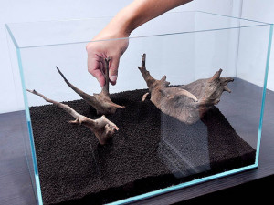 Sign In Create Account