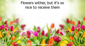Flowers wither, but it's so nice to receive them - Positive and Good ...