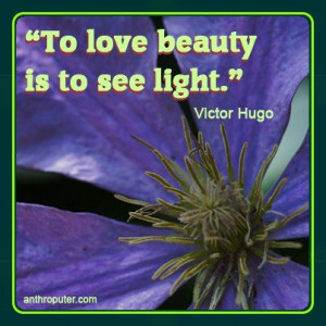 To love beauty is to see light -Victor Hugo #quote