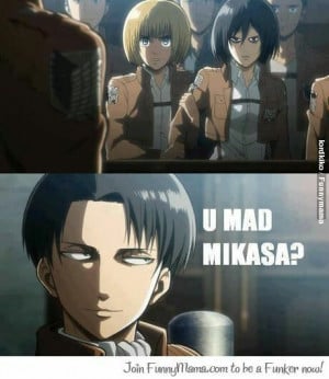 Mikasa Ackerman and Rivaille (Levi) L would be proud about mikasas ...