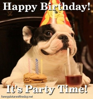 more funny dog happy birthday funny dogs wishing you a happy birthday ...