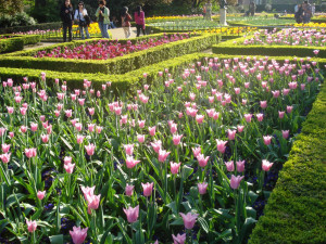 Funny Quotes Contact Dmca...