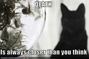 funny motivational quotes Galaxy | Valentine's Day Quotes. Sayings of ...