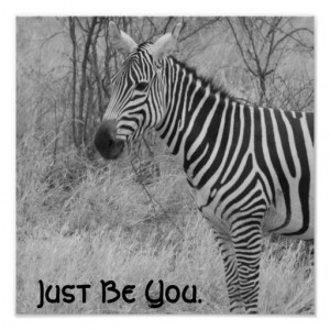 Funny Zebra Quotes