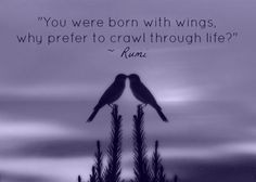 Mushy Heart, Poets Quotes, Rumi Love Quotes, Families Life, Rumi Poems ...