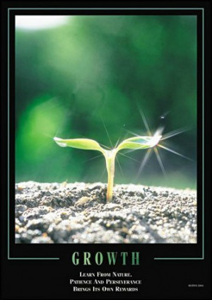 Patience And Perseverance