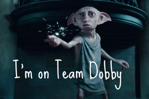 has dobby and designers from dobby a small geometric or