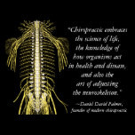 Chiropractic Quotes & Sayings DD Palmer Posters