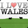 Welsh Sayings and Phrases