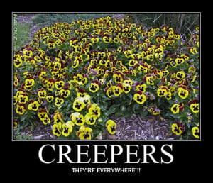 you post believe it or not there are creepers around