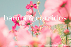 Love Corridos Tumblr