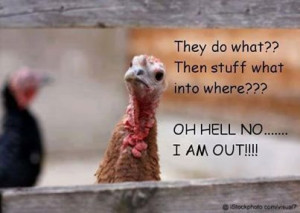 Awww leave that poor turkey alone. LOL!