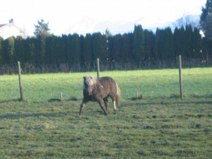 ... missing you quotes day funny 4555775961727349 quotes about missing him