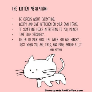 Kitten Meditation | #quotes #meditation #wisdom