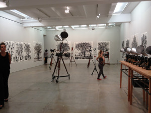 ... Harriet Bart, William Kentridge, Nathan Carter, Barry McGee + More