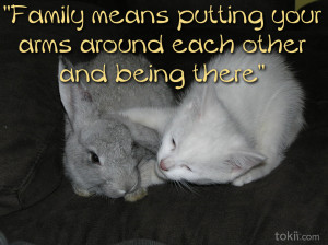 Blended Families Quotes