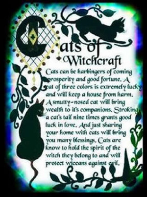 Witchcraft and Literature