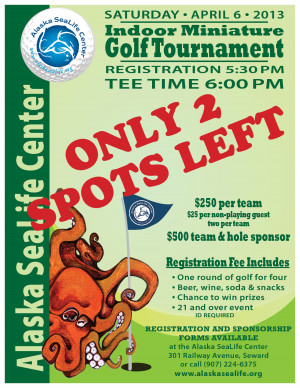 Mini Golf Tournament