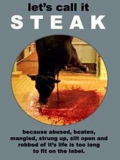 animal rights activists quotes google search more steak animal rights ...