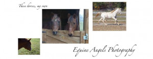 Equine Angels Photography